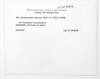 Image Associated With the Occurence